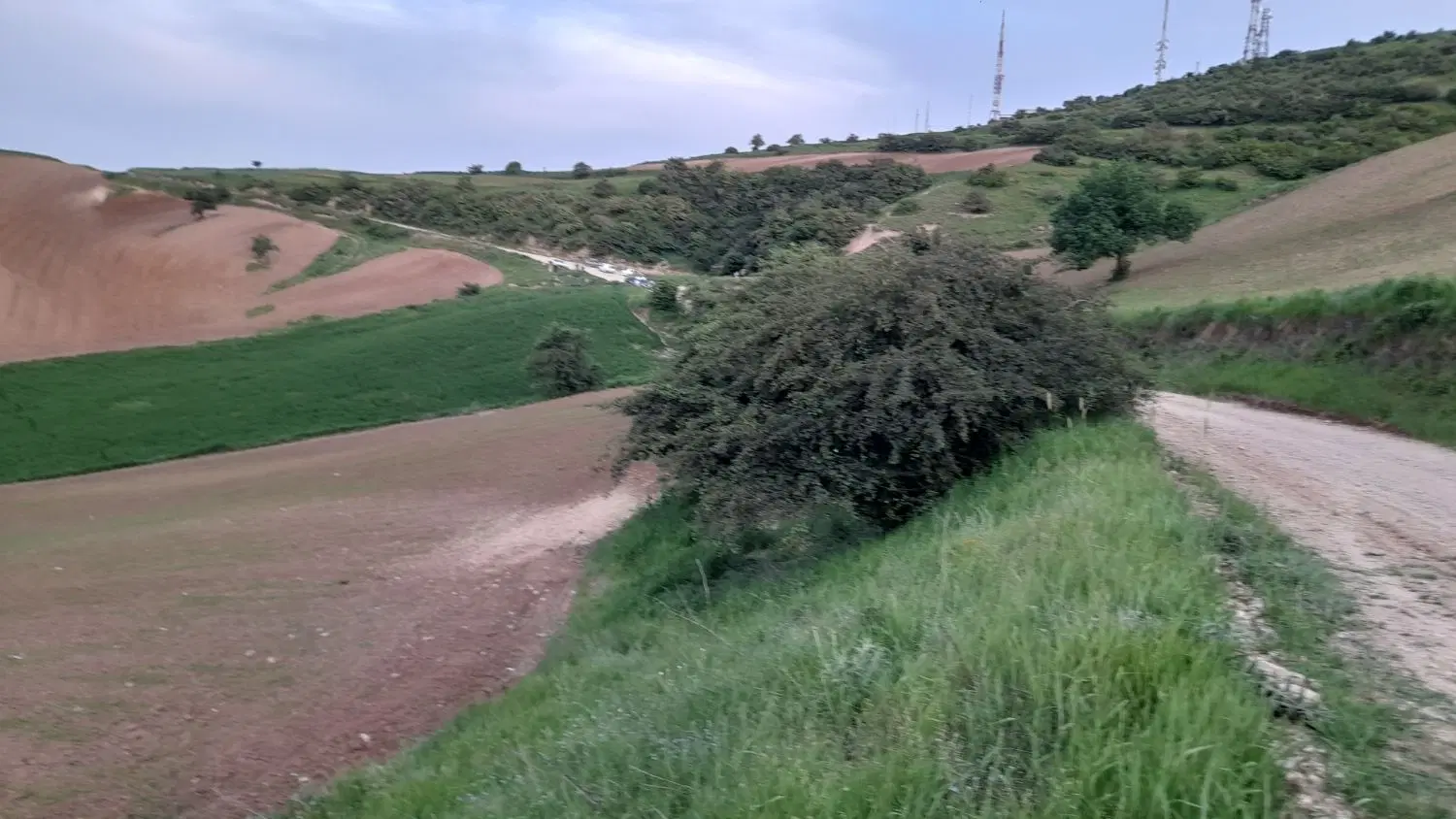 زمین محله ۱۲