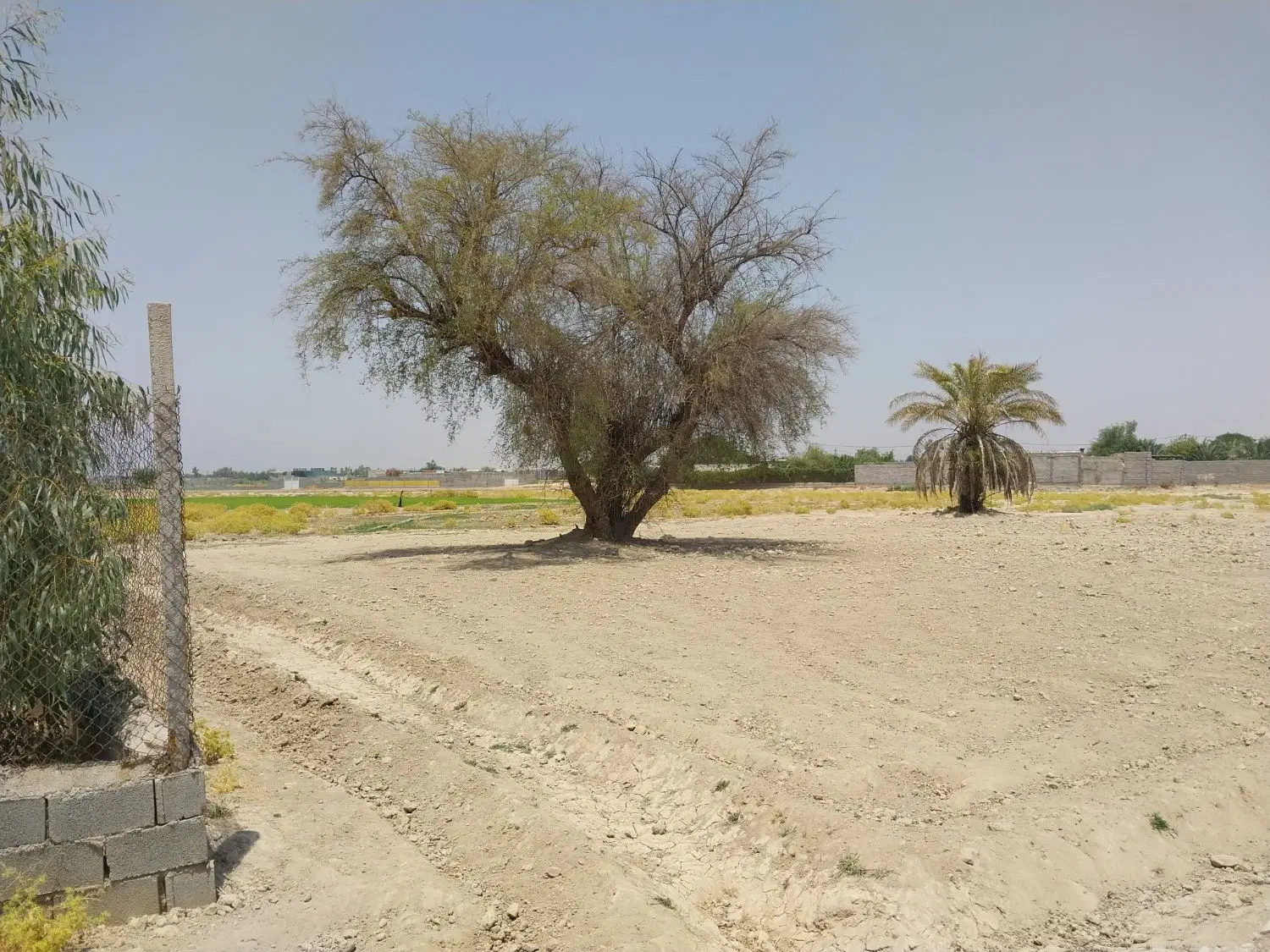 زمین