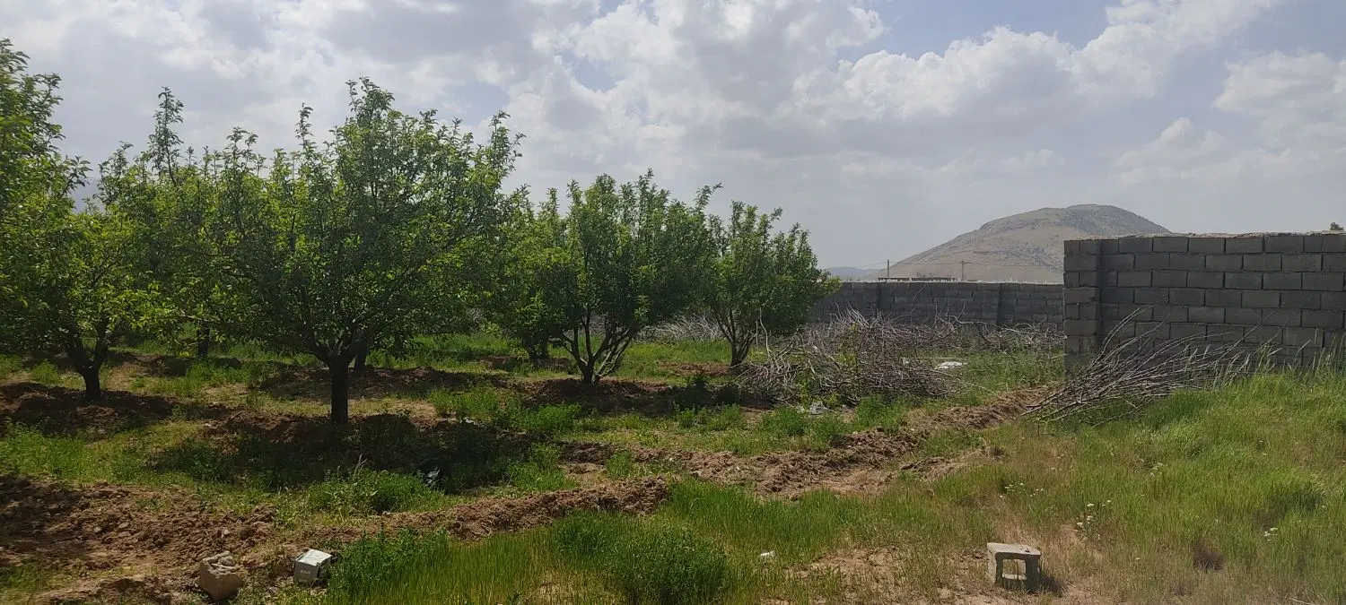 فروش باغ در شهر زیبای یاسوج به بوشهر