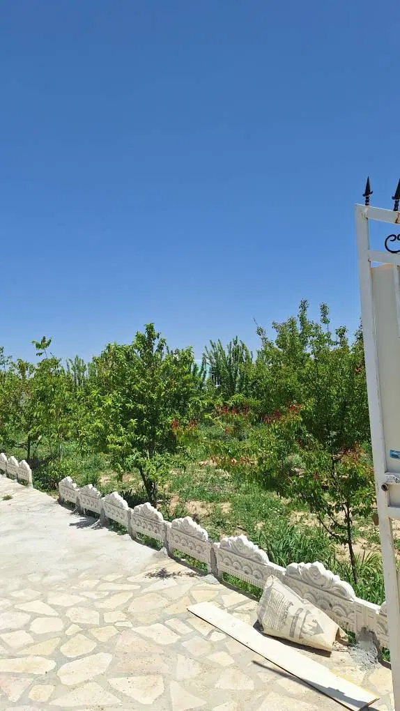 باغ دهبید