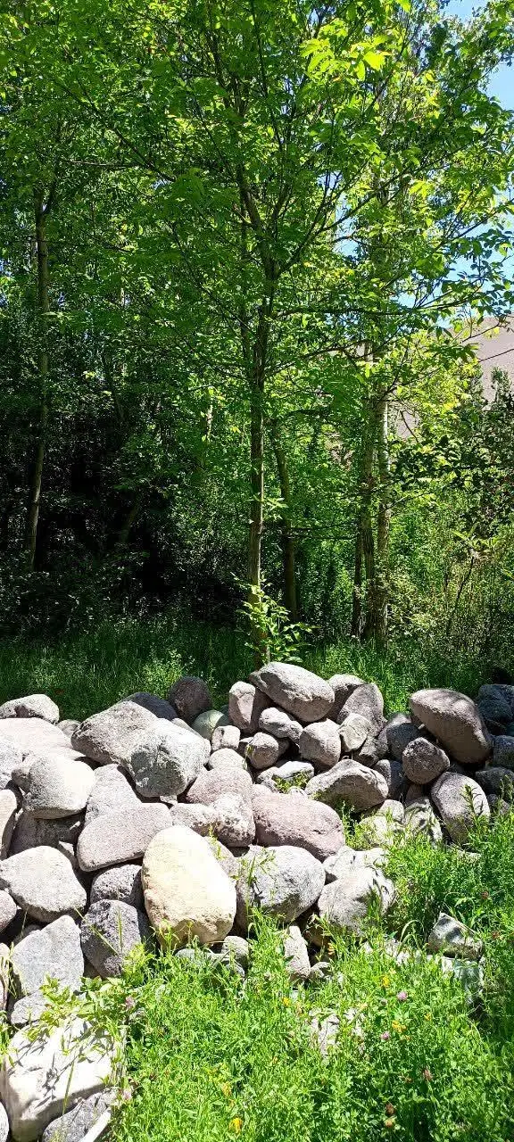 باغ کشاورزی