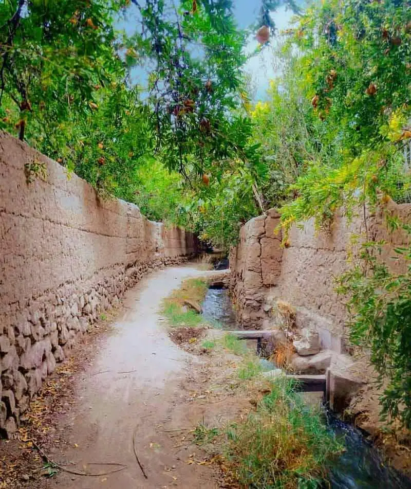 باغ شاهدیه ۴۸۰متر
