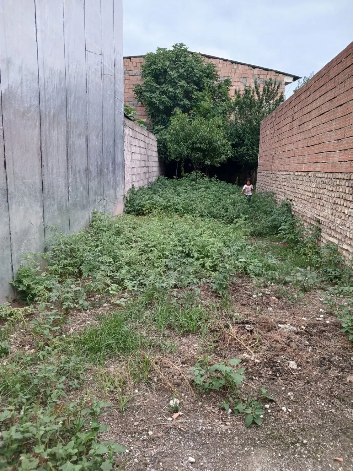 دو قواره زمین لب جاده در بافت روستای سیدمیران