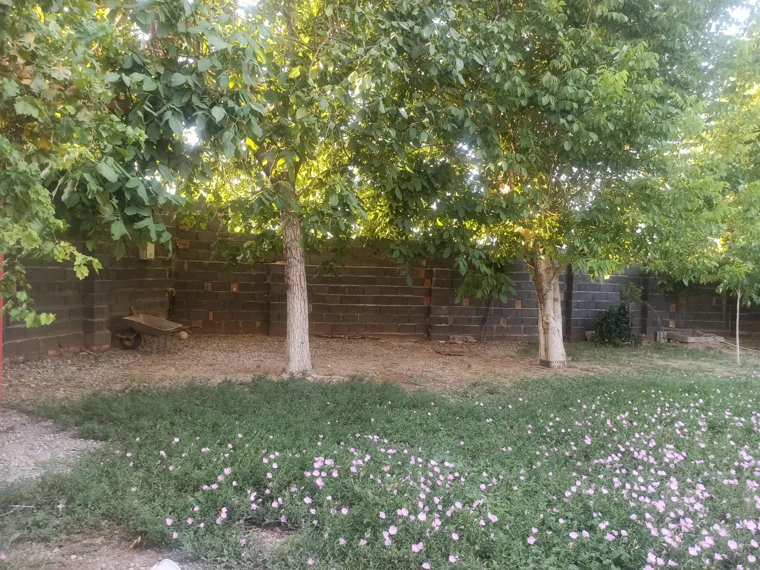 فروش زمین در ایلام سرطاف
