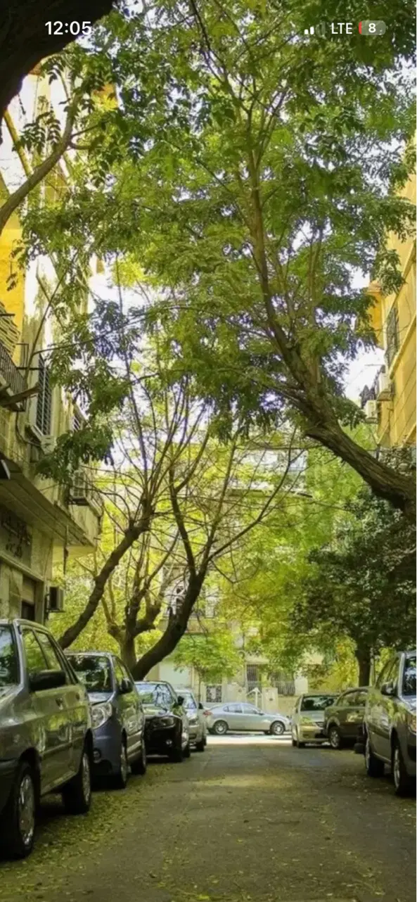 ۵۳ متر آپارتمان