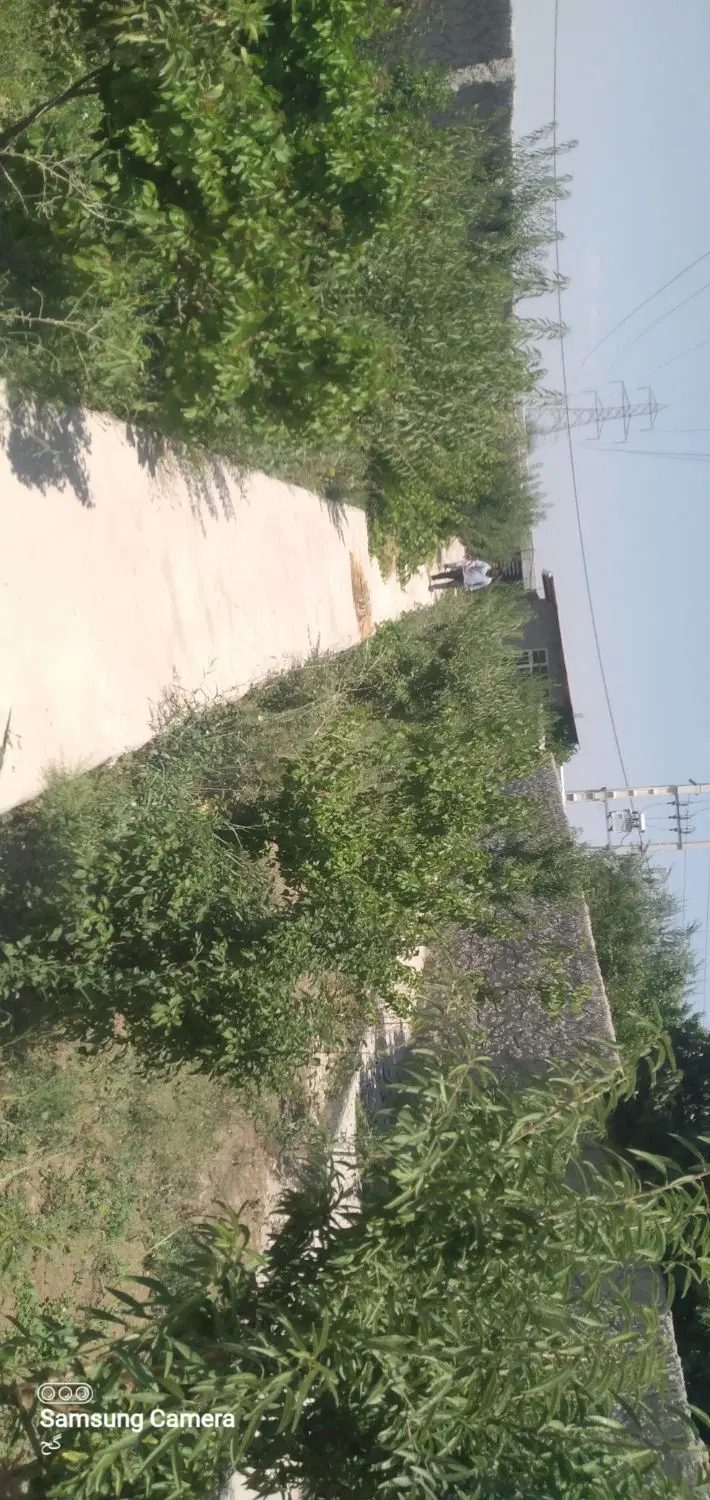 باغ ۵۰۰ متر خیابان ورزش