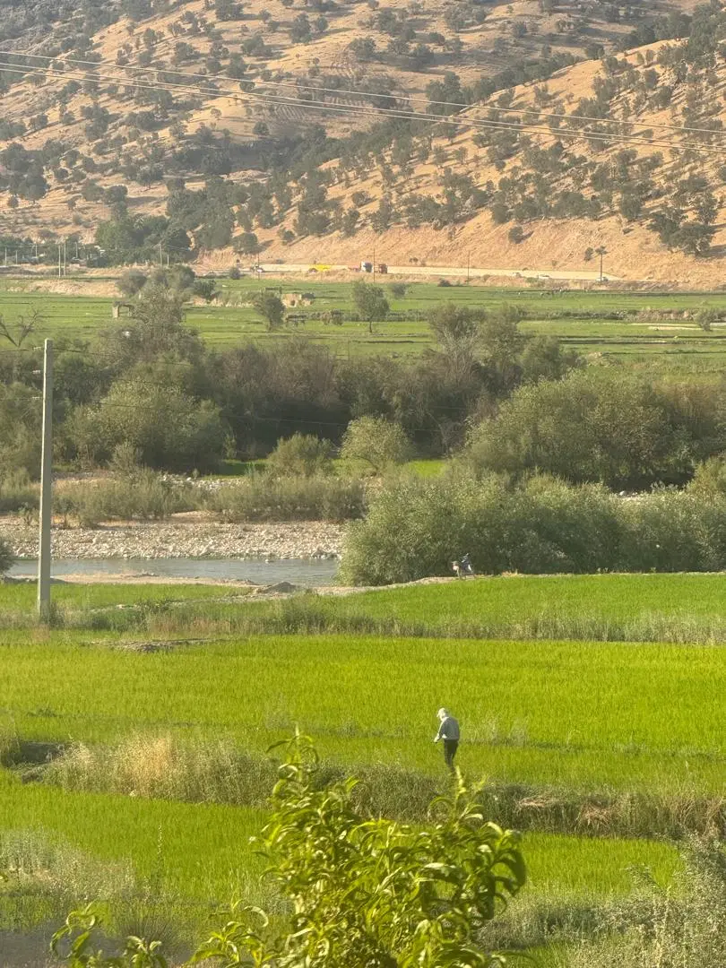 فروش زمین مسکونی دهقاید