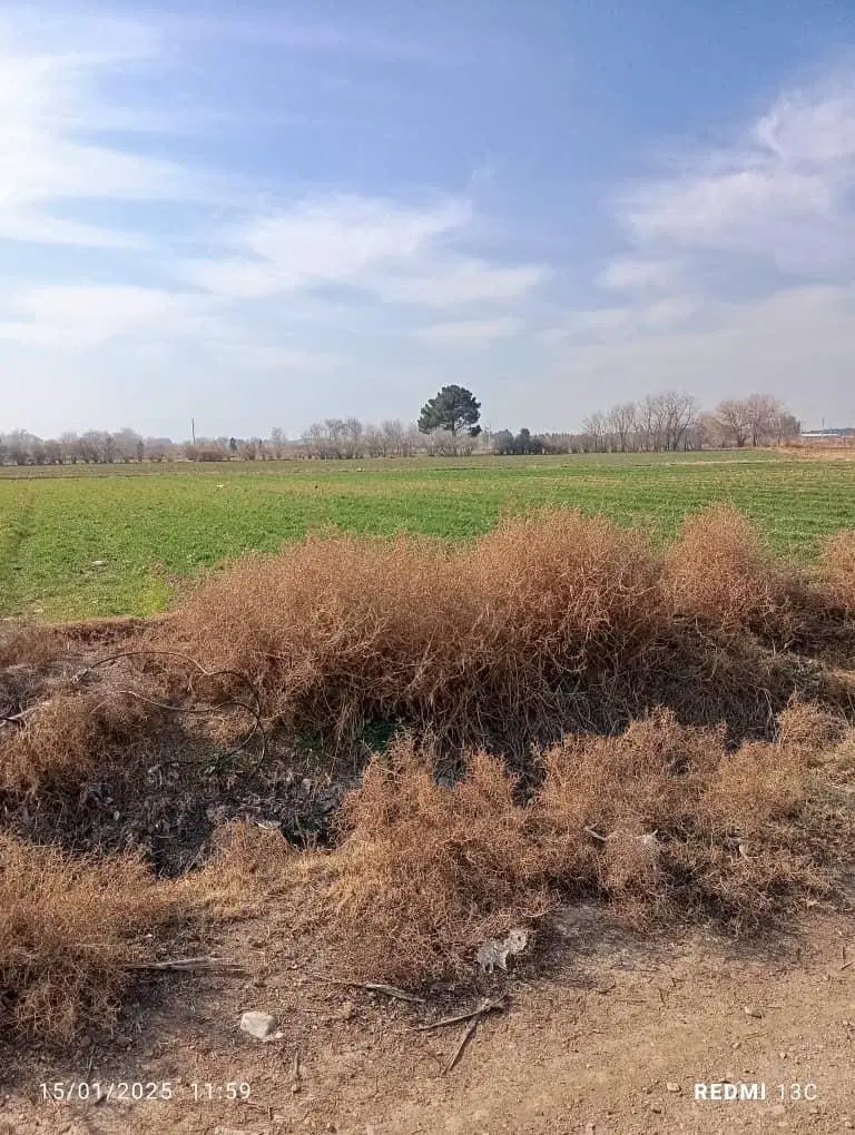 زمین کشاورزی،باغ،باغچه ۱۰۰۰ متر به بالا