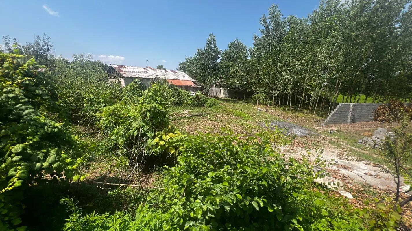 زمین در روستای سرسبز برمچه بین رشت و منطقه انزلی