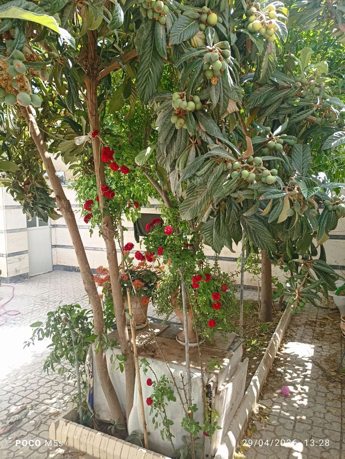 دربست یک طبقه ایثارگران