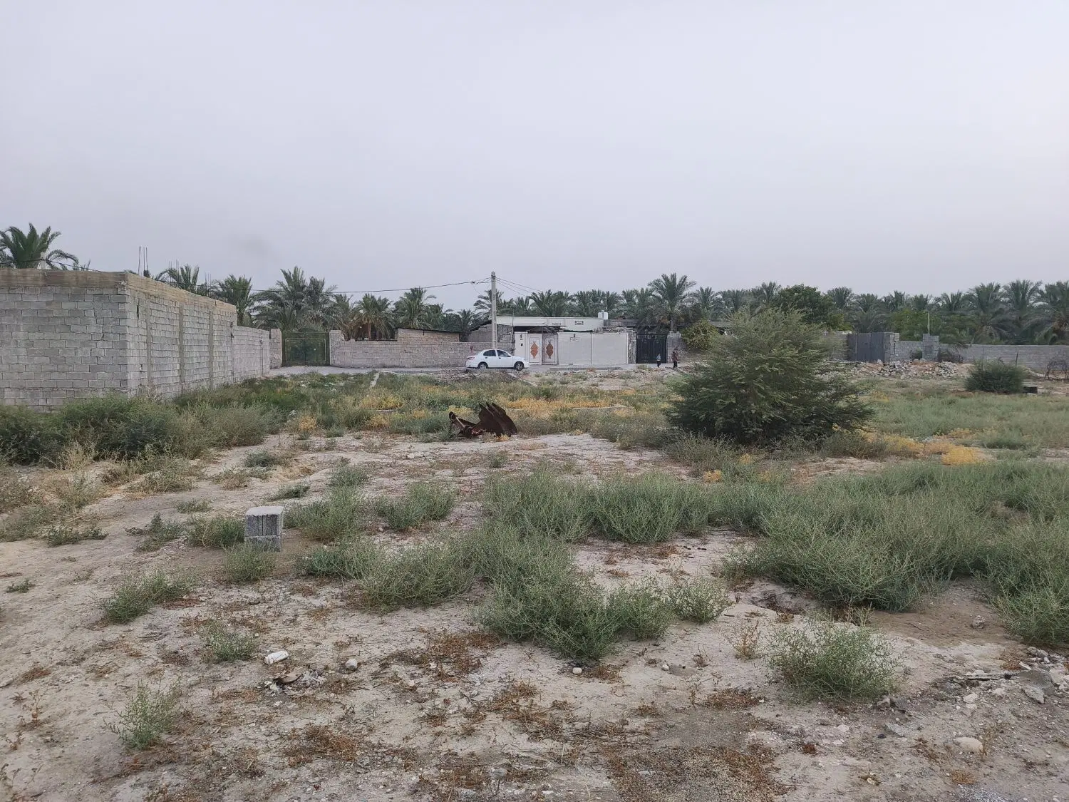 زمین ۲۰۰ متری دهقاید