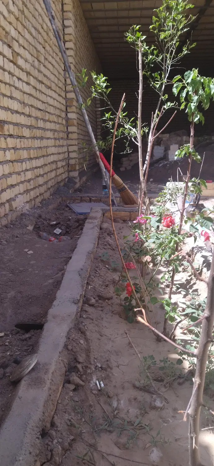 خونه وزمین ۲۹۰میلیون