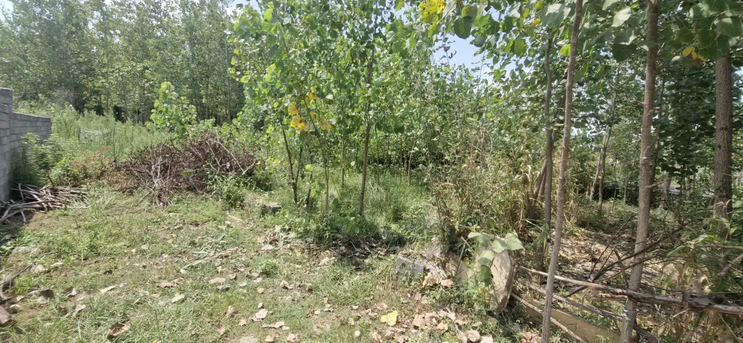 زمین ازان مسکونی