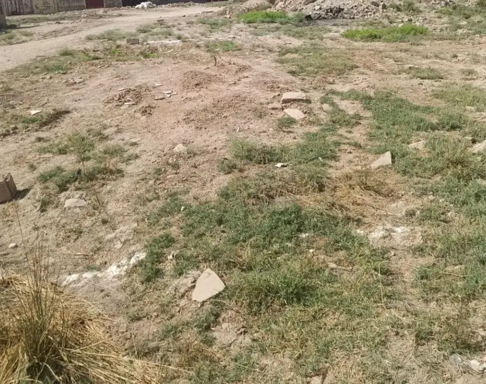 زمین ۳۵۰ متر کوی سادات ۲۲ بهمن غربی فرعی چهارم