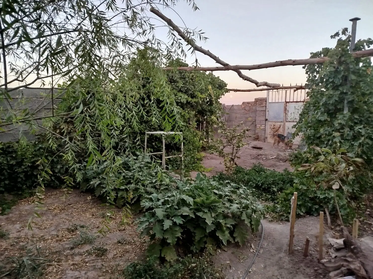 خونه باغ