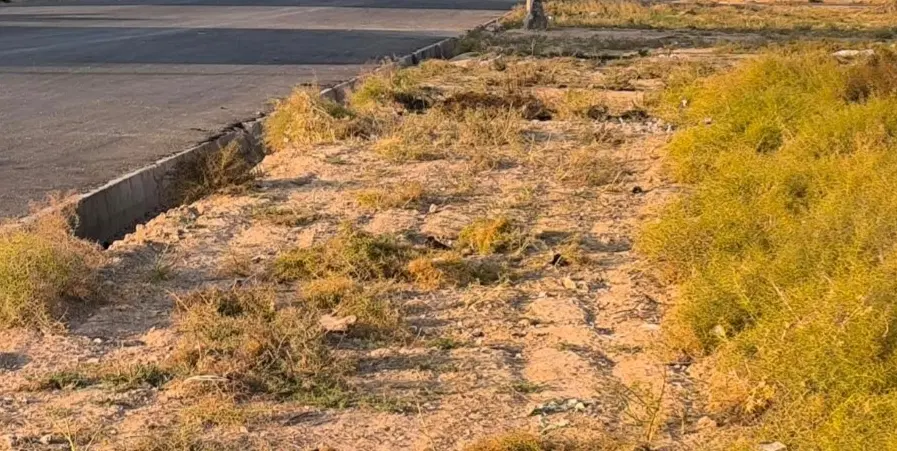 زمین وملک