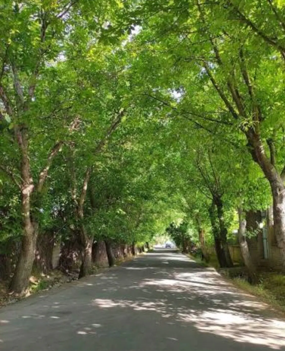 ۶۱۰ متر شهریار