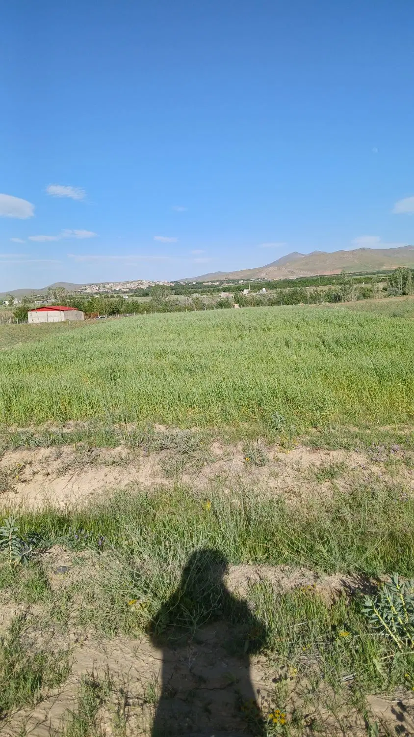 زمین باغی سیمین