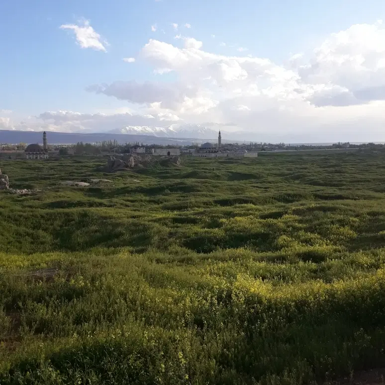 زمین فوق پشت گواره می باشد
