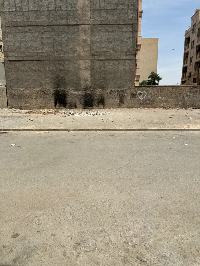 زمین تک برگ