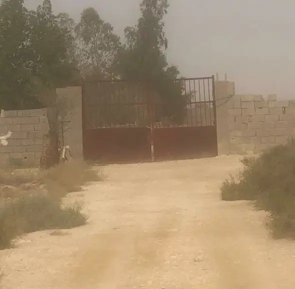 فروش باغ ۷۰۰۰ متری جمرک