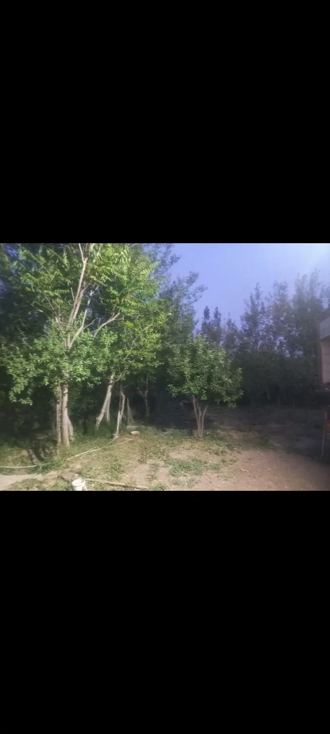 فروش باغ