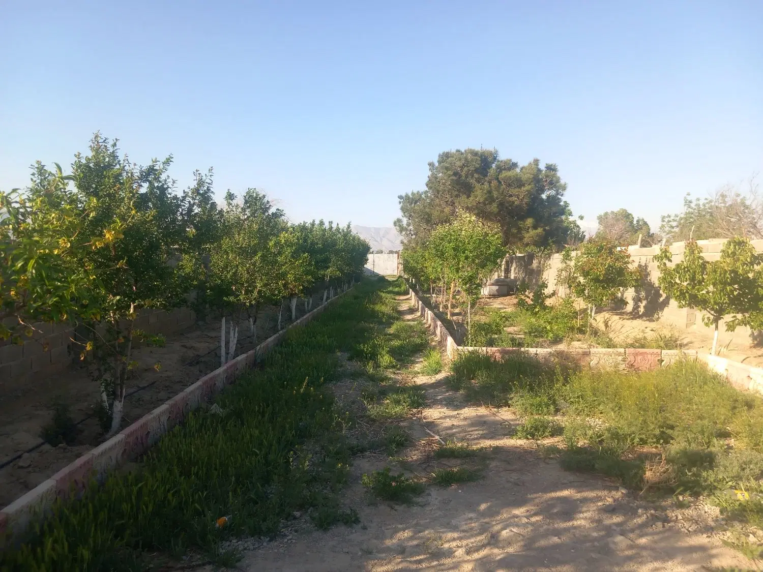 زمین ۷۸۰ متر دیوار کشی،