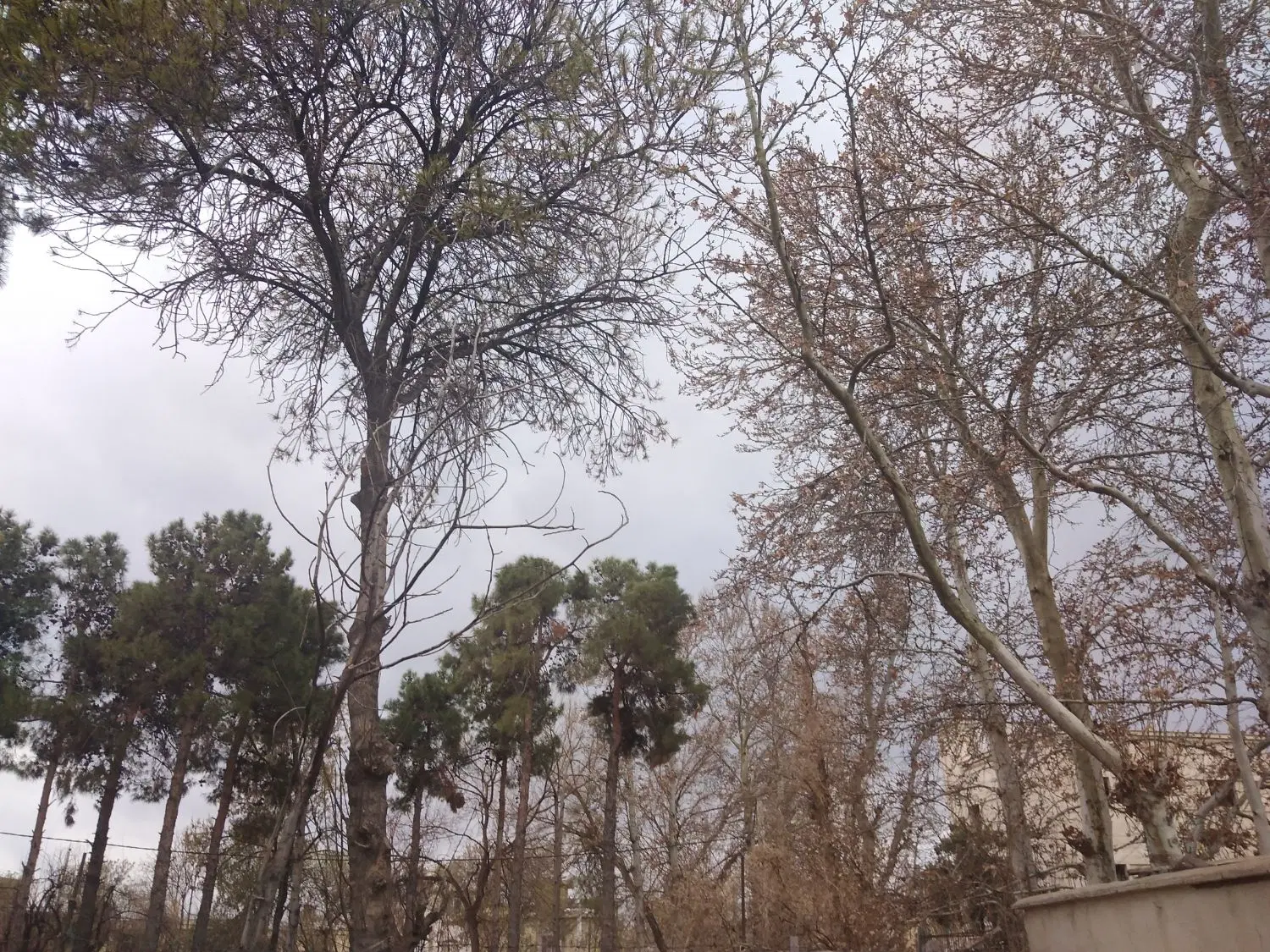خانه ویلایی دوطبقه