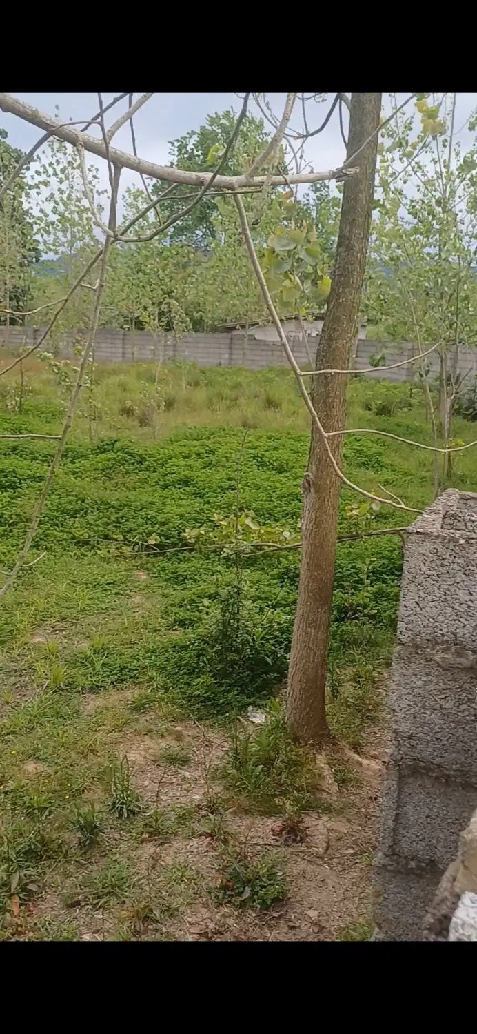 ، زیر قیمت فروش  خانه روستایی باغی 930دور دیوار