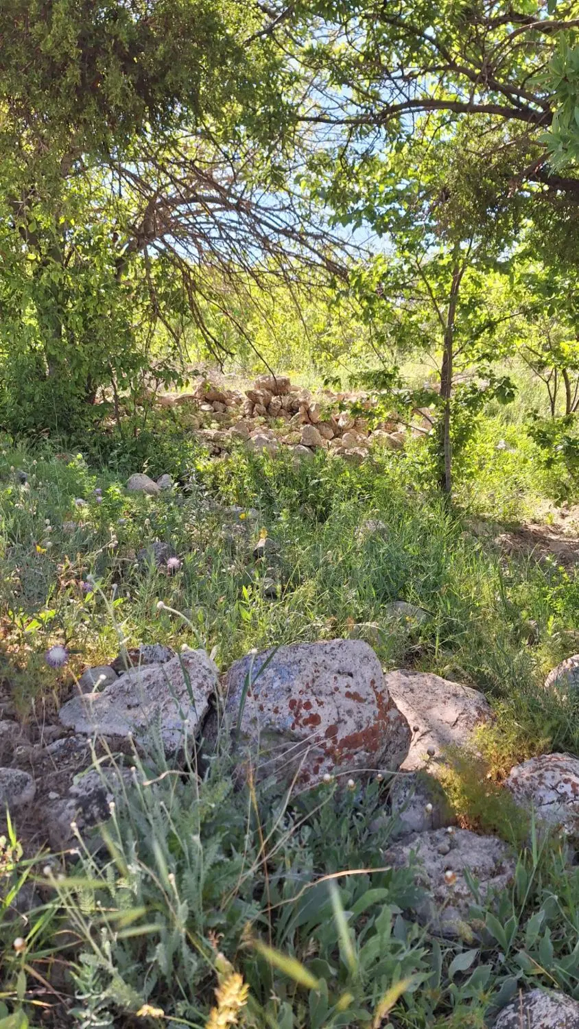 روستای گوار