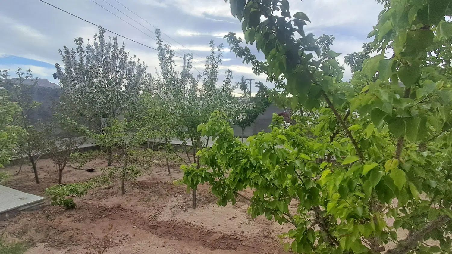 فروش خانه باغ ۴۰۰ متری تنگ چنار