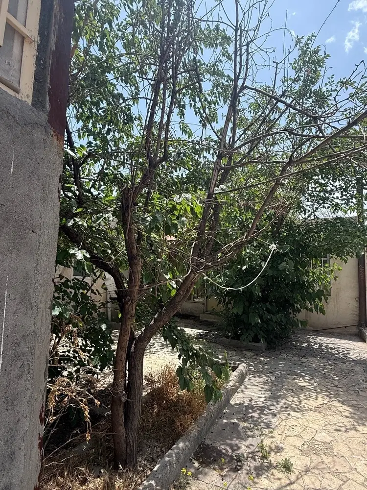 237.5 متر زمین