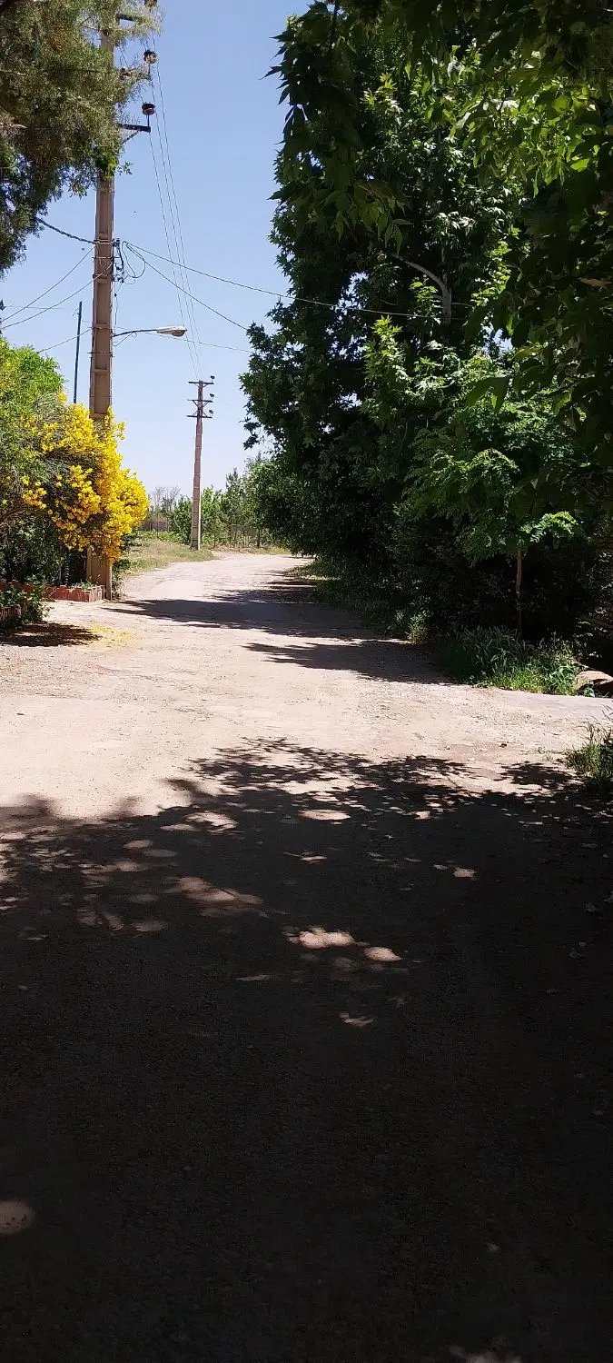 زمین باغ