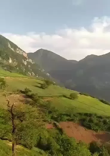 زمین ویلایی