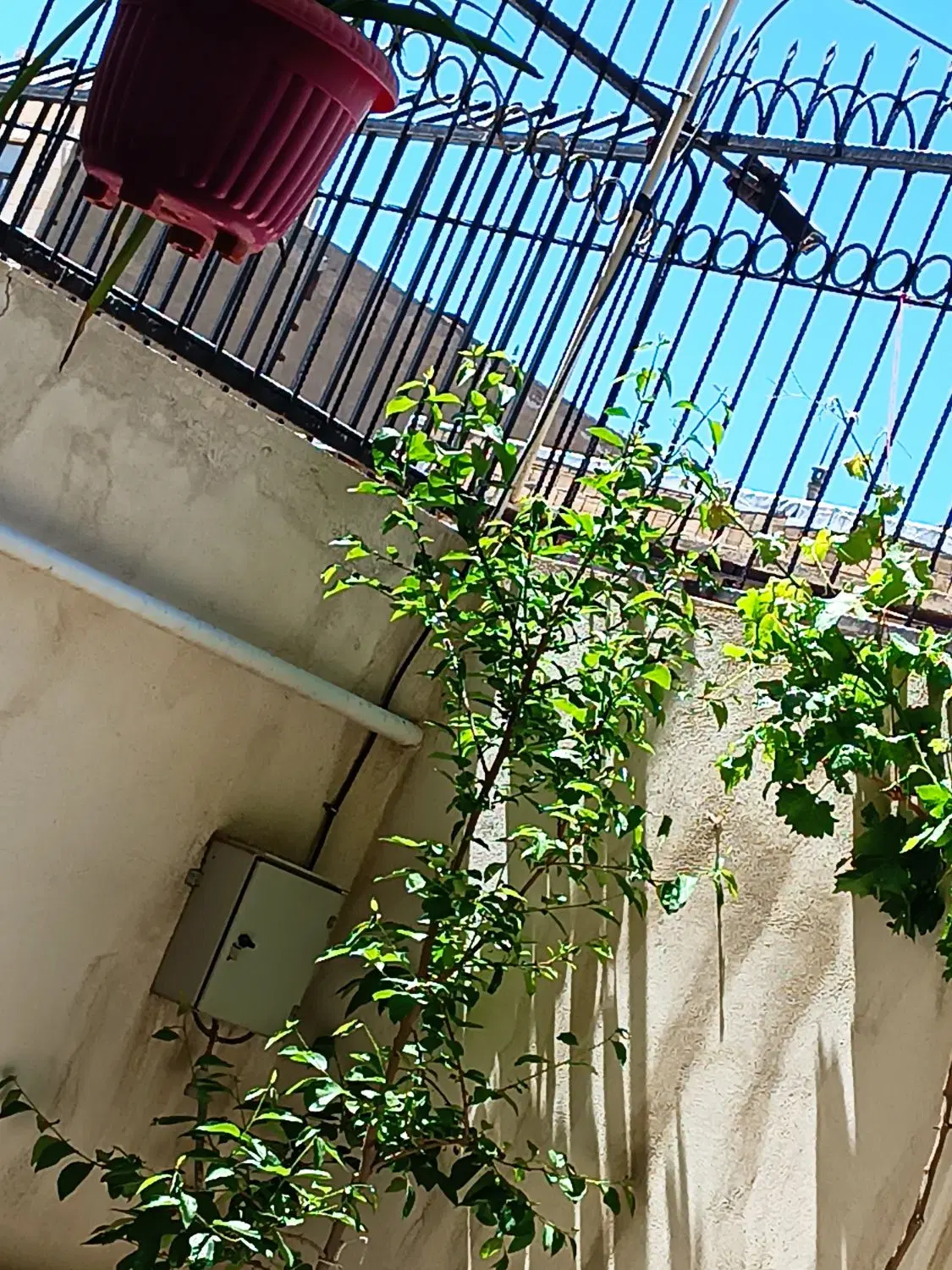 آپارتمان اجاره ای مبله(برای۲ نفرخانم)