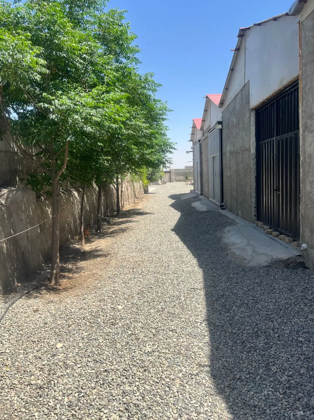 سالن های  سوله صنعتی ۱۱۰متر و۱۳۰متر