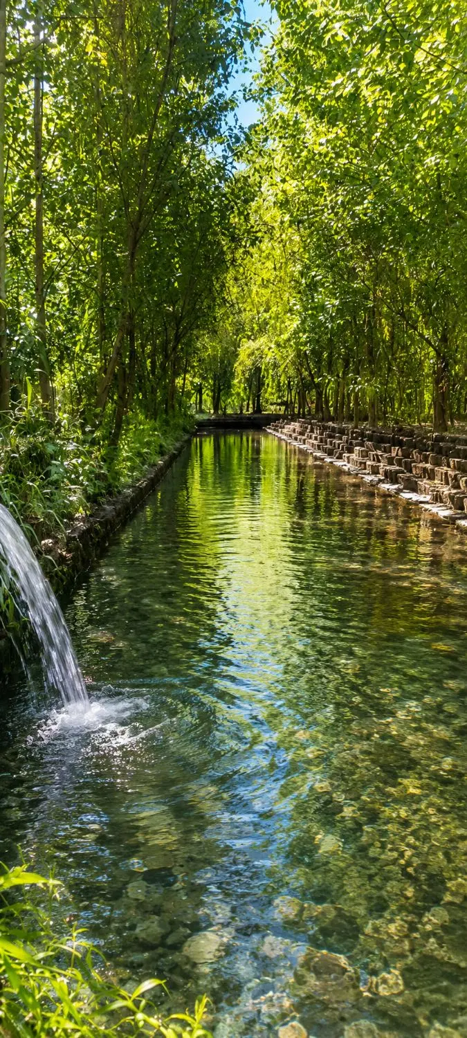 ویلا چوبی با امنیت بالا _تفریحات لوکس