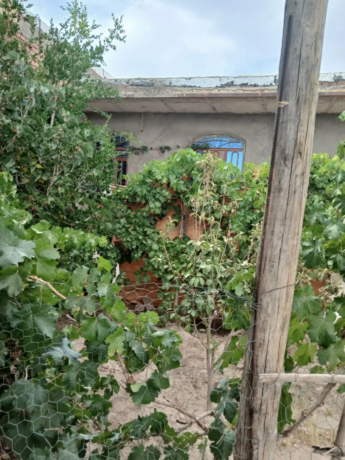 منزل ویلایی واقع درشهرک شاهمراد اباد منزل اب