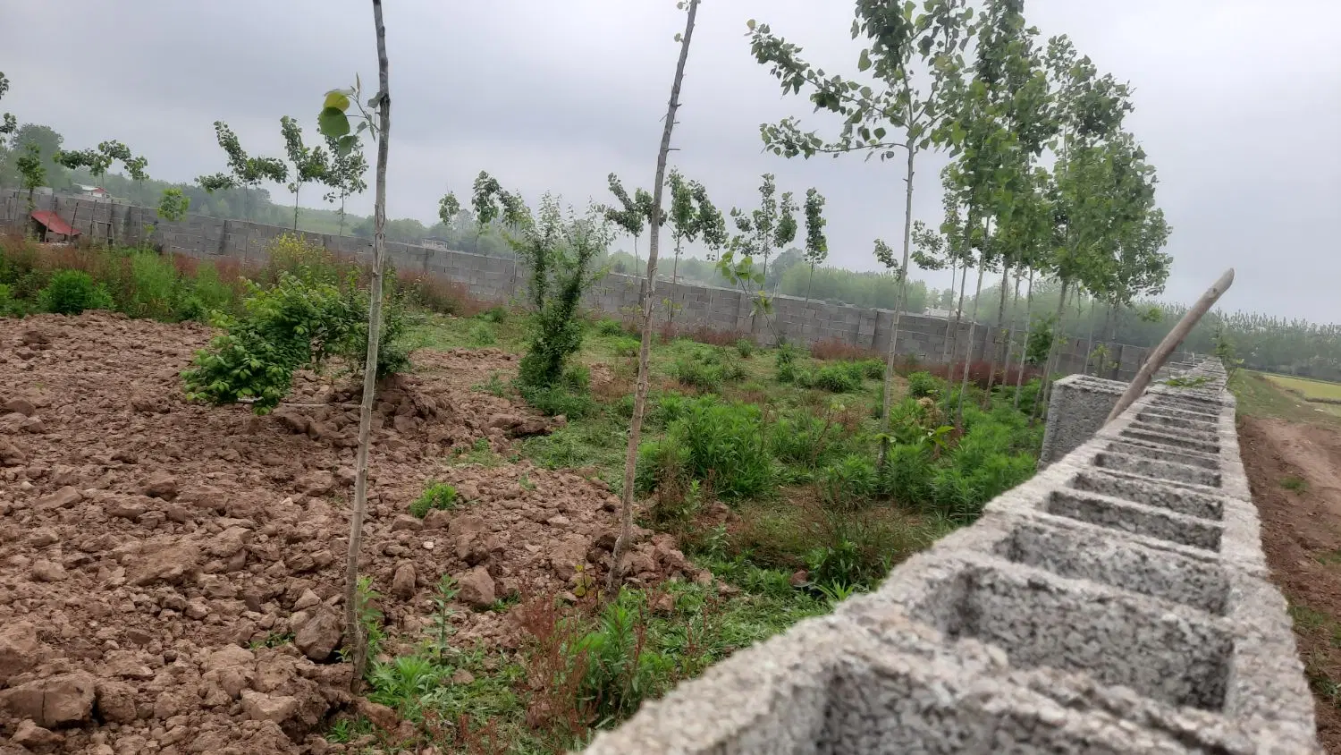۱۰۰۰متر  زمین باغی در روستا
