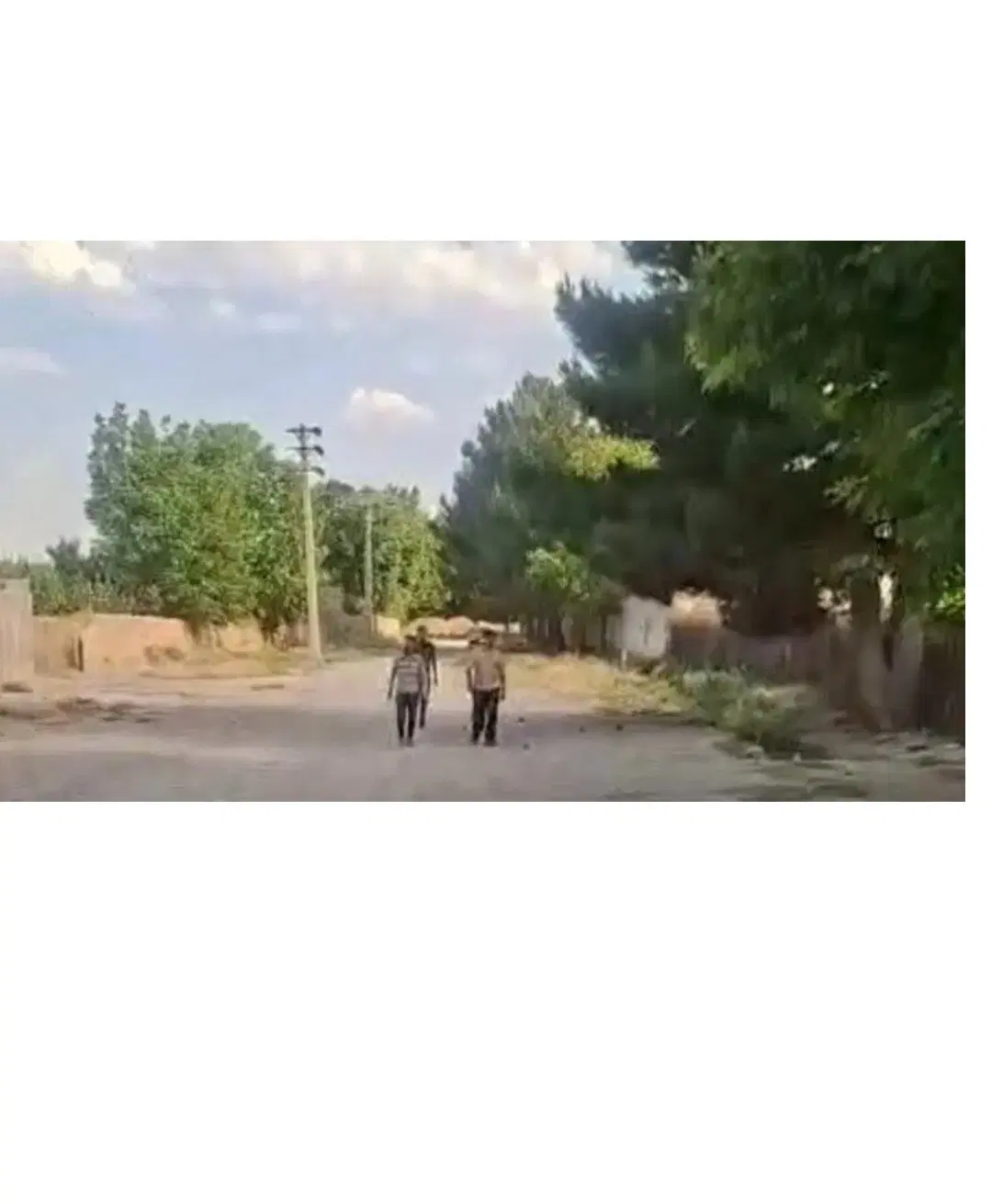 زمین باغچه