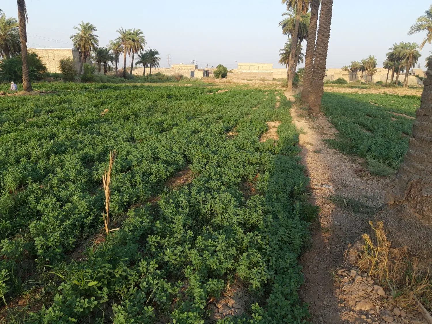 فروش زمین