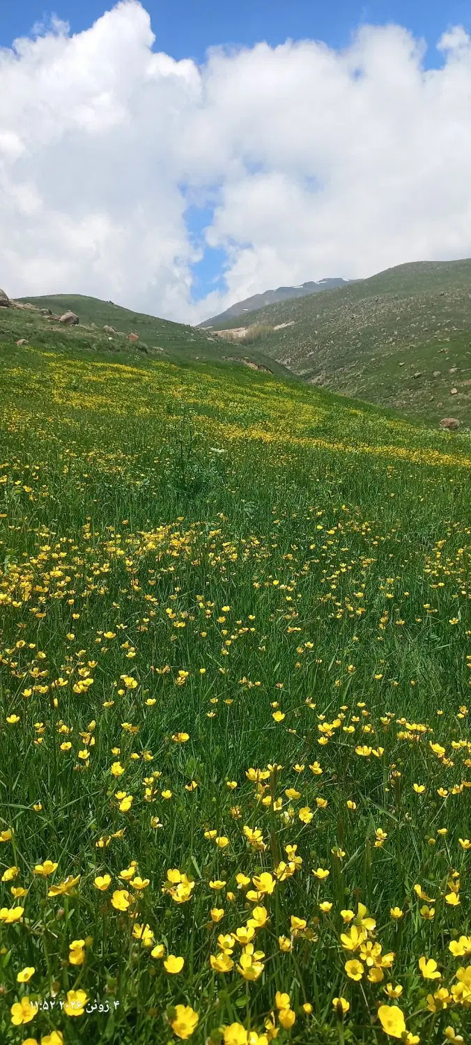 زمین سرعین آلوارس معاوضه با ماشین