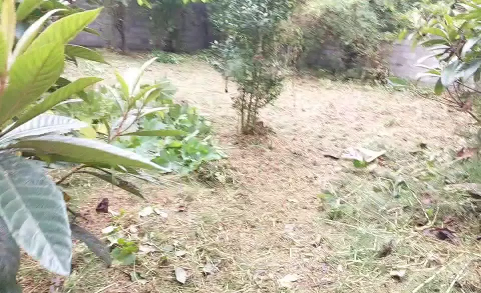 زمین مسکونی با پروانه ساخت