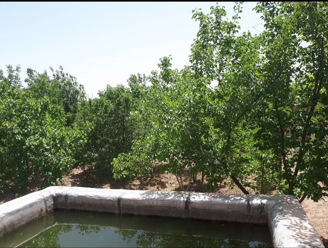 باغ ۵۰۰ متری سرسبز کهریزسنگ