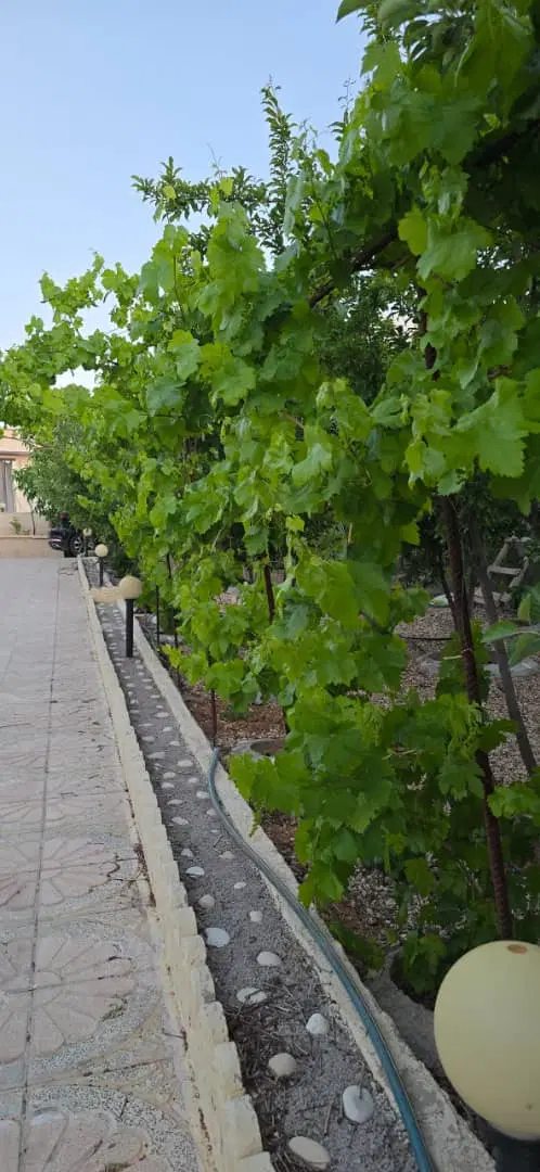 فروش زمین بهار