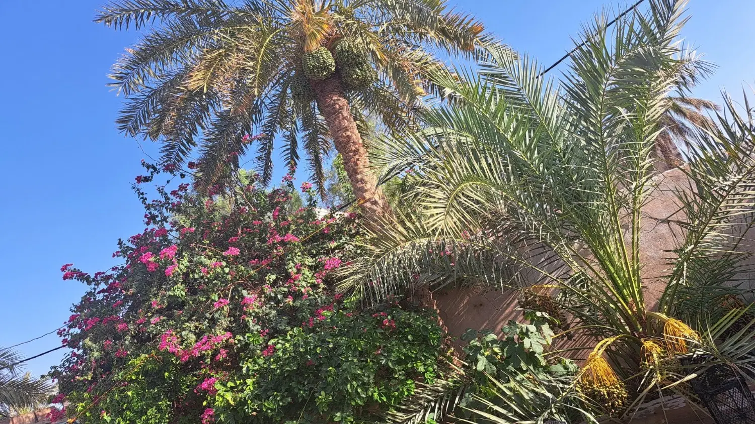فروش خانه