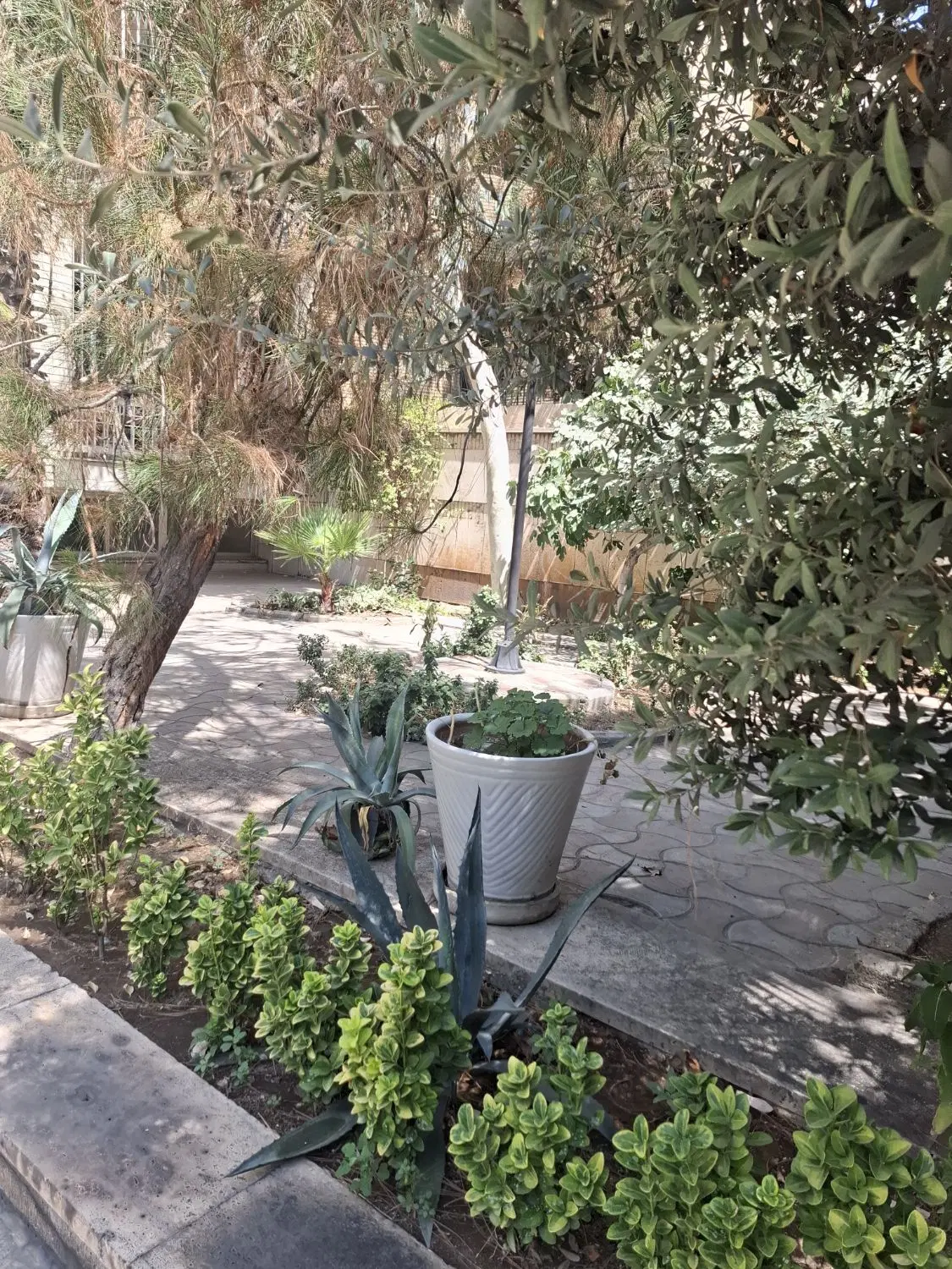 شمال جردن ۱۷۹ متر ۳ خواب مستر تک واحدی