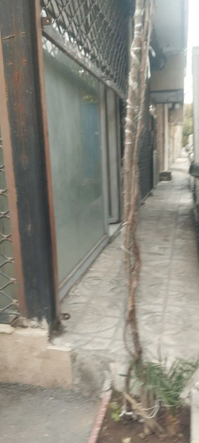املاک