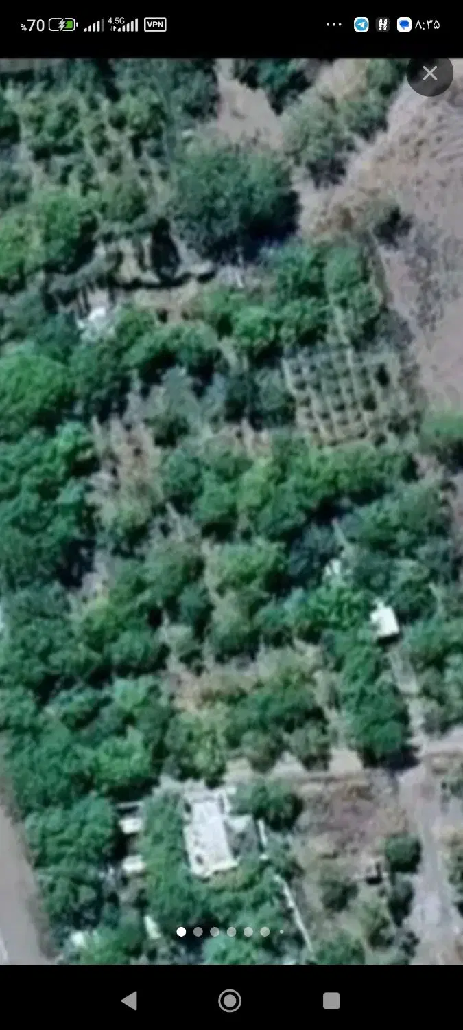 باغ در گروه