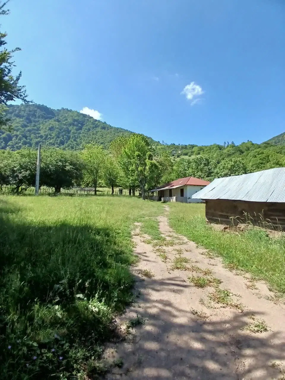 ۳۰۰ متر مسکونی وام دار